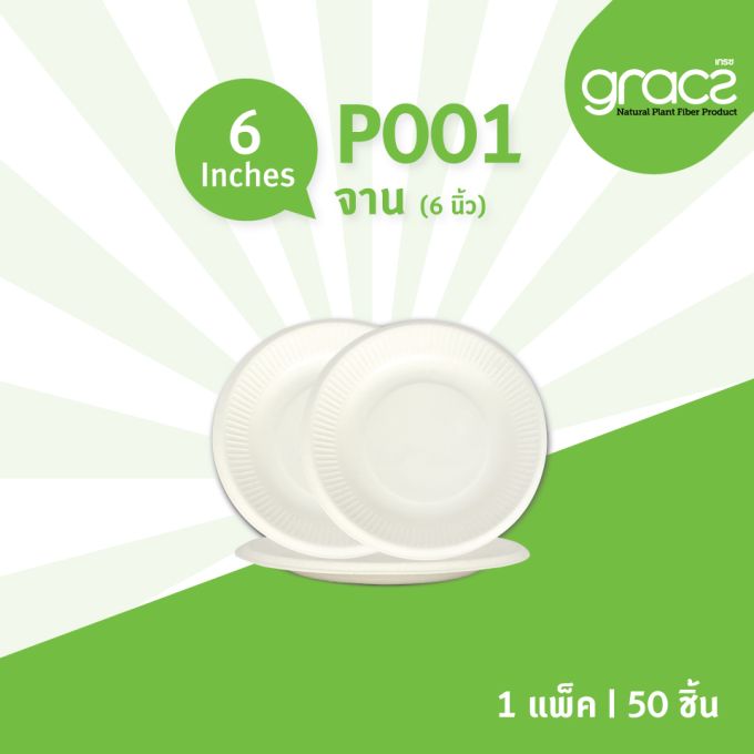 จานชานอ้อย 6 นิ้ว รุ่น P001 [GRACZ CLASSIC] (ลัง)
