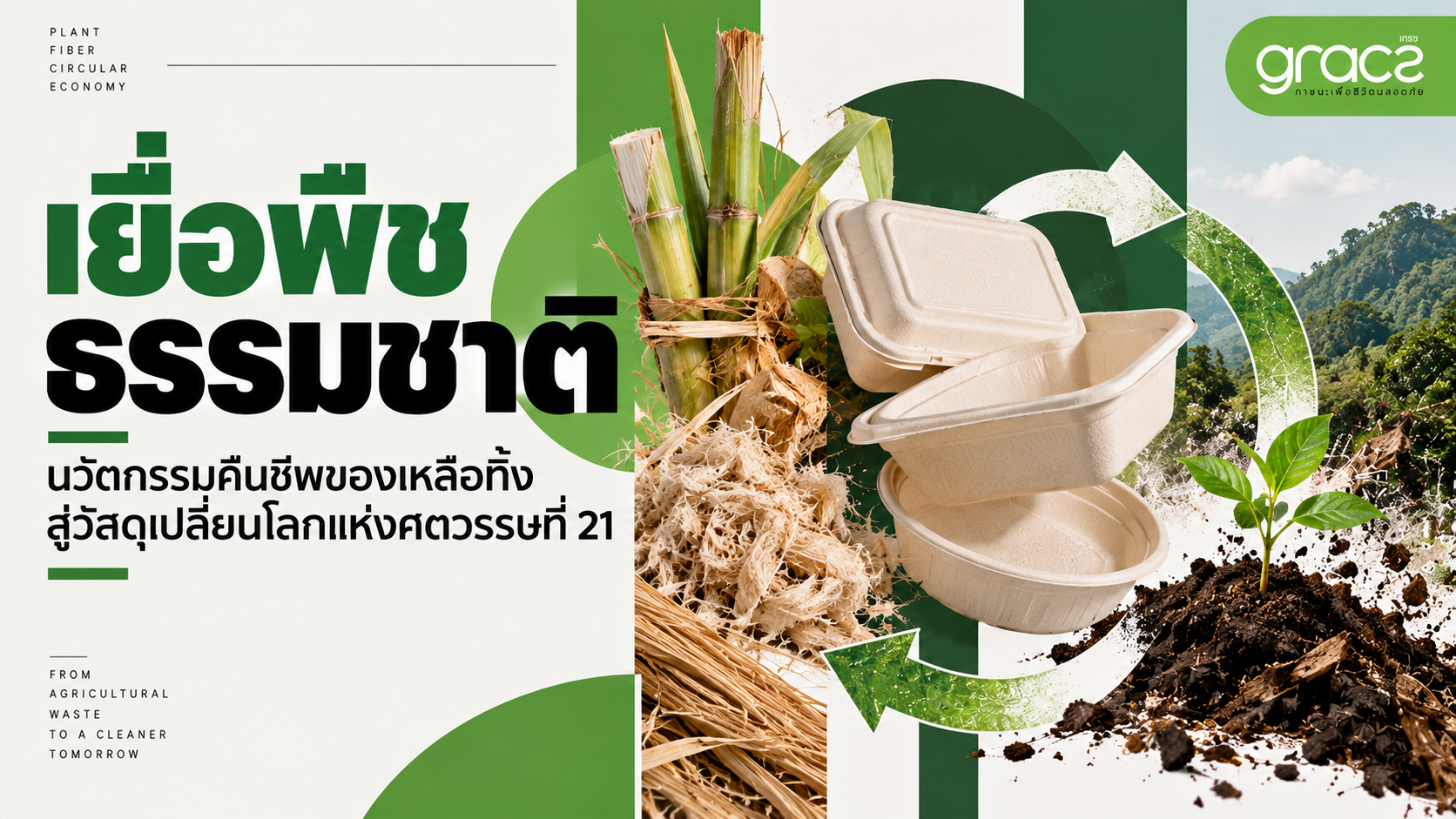เยื่อพืชธรรมชาติ (Plant Fiber): นวัตกรรมคืนชีพของเหลือทิ้ง สู่วัสดุเปลี่ยนโลกแห่งศตวรรษที่ 21