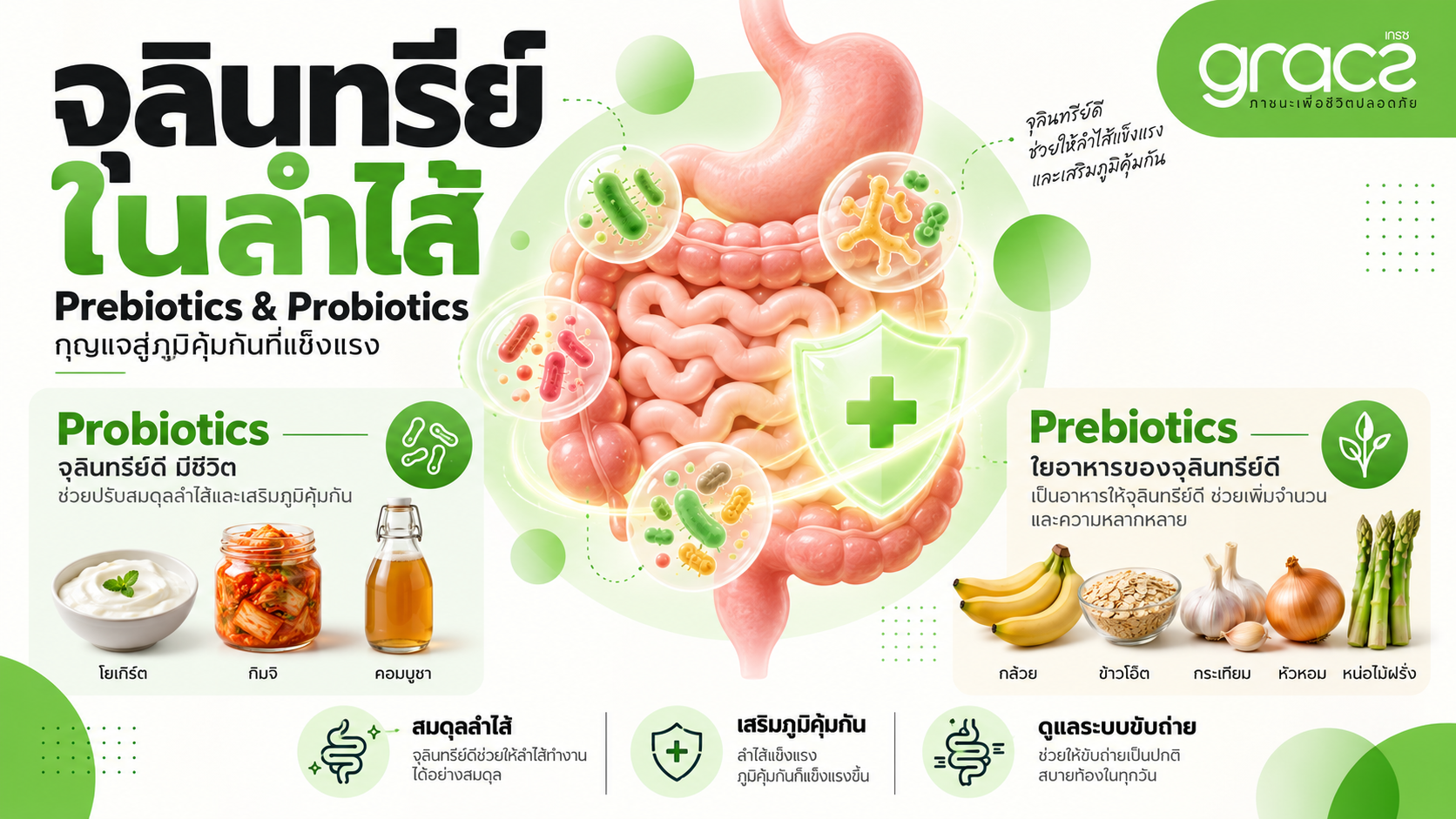 จุลินทรีย์ในลำไส้ สำคัญอย่างไร? เจาะลึก Prebiotics & Probiotics กุญแจสู่ภูมิคุ้มกันที่แข็งแรง