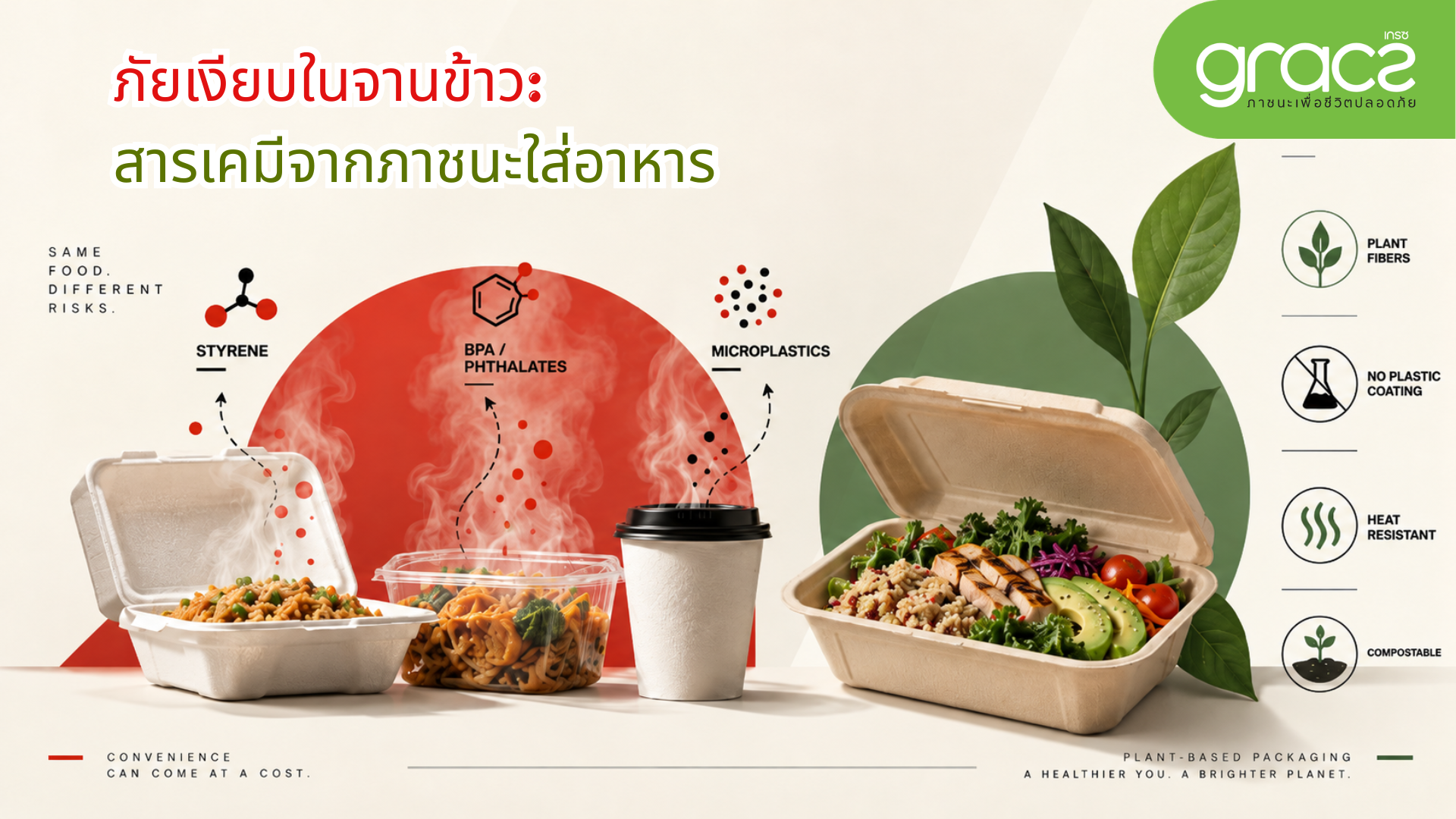 ภัยเงียบในจานข้าว: สารเคมีจากภาชนะใส่อาหาร กับความเสี่ยงสุขภาพที่คุณอาจมองข้าม