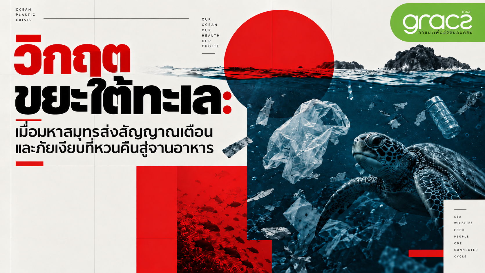 วิกฤตขยะใต้ทะเล: เมื่อมหาสมุทรส่งสัญญาณเตือน และภัยเงียบที่หวนคืนสู่จานอาหาร